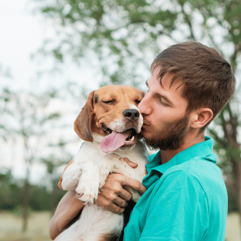 Man in a teal shirt kissing a beagle with its tongue out in a park setting.