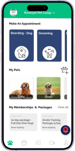Screenshot of RunLoyal App showing dog boarding, grooming, and training options