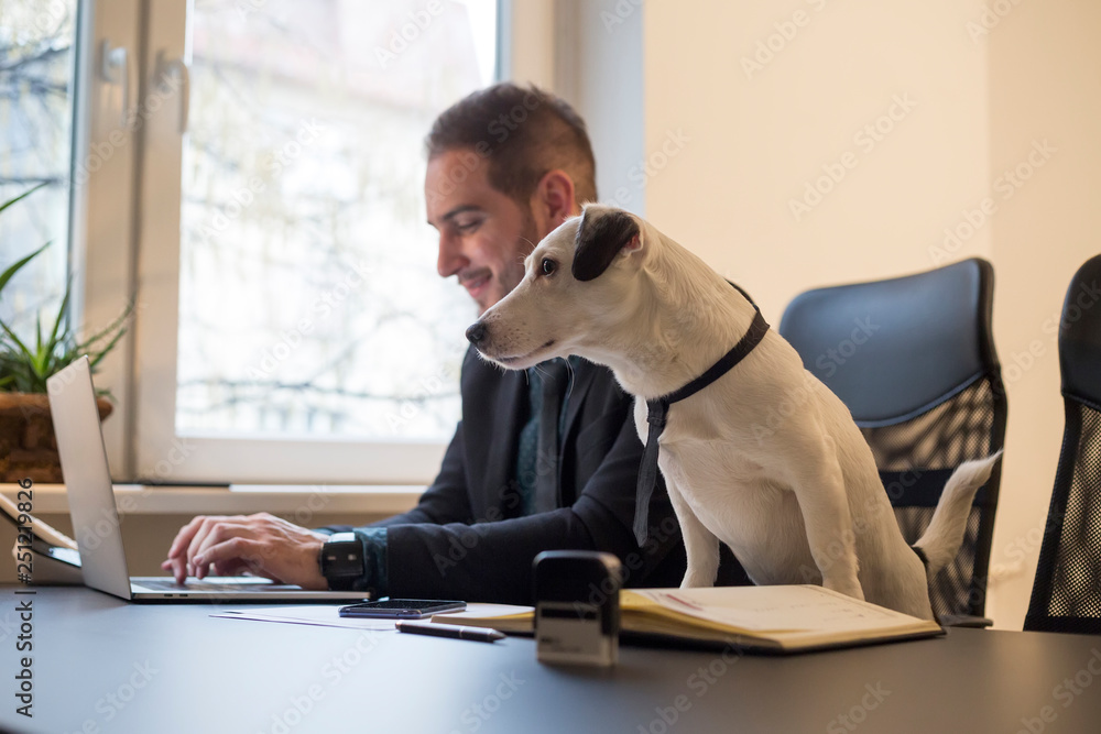 A man in business attire works on a laptop at a desk. A small dog sits next to him on a chair, gazing at a book on pet care lying on the table.