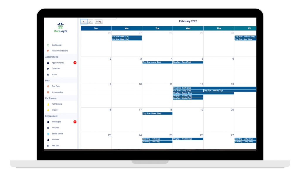 RunLoyal software calendar displaying appointments for dog and cat spa sessions.