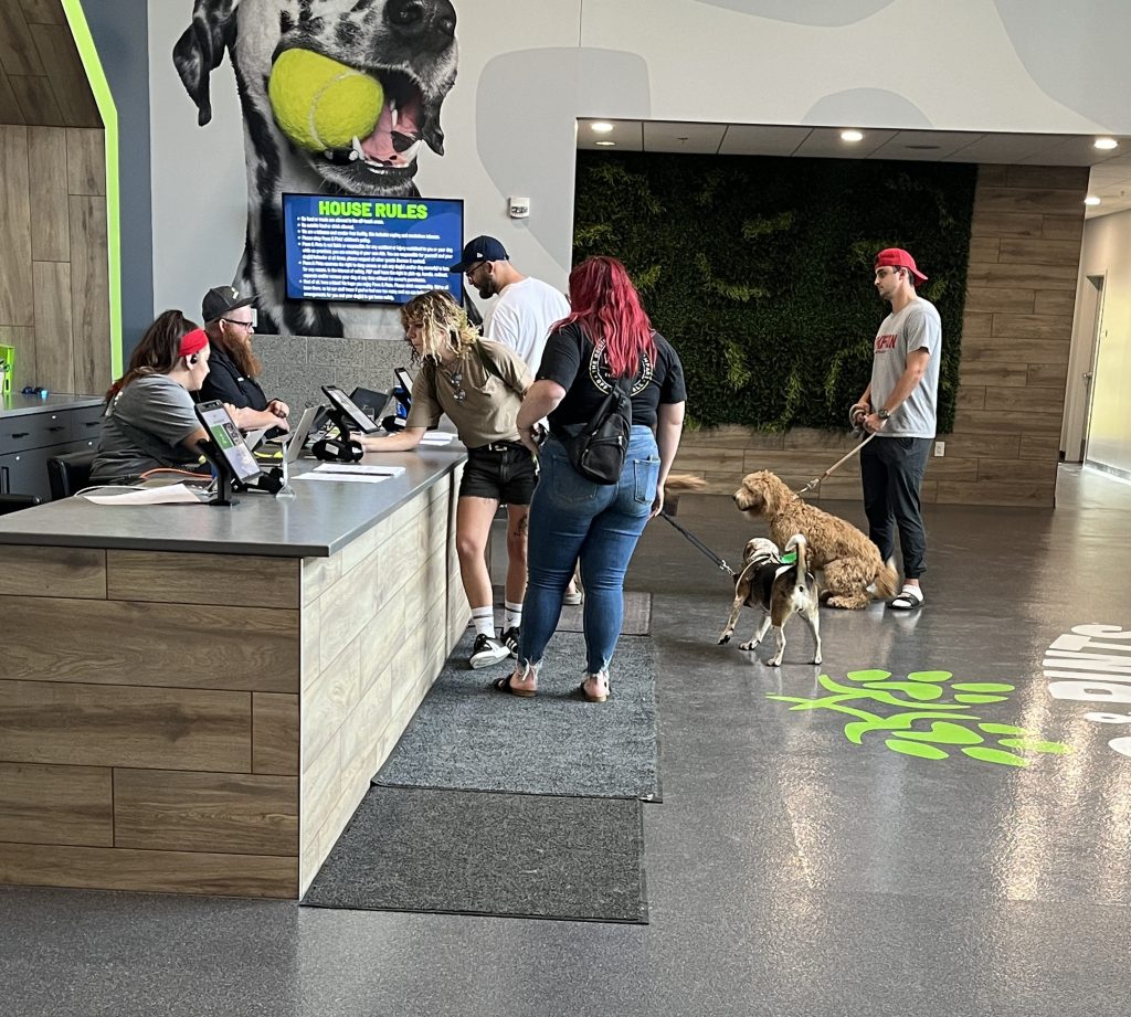 Several people and dogs wait at a reception desk in a pet facility, with staff assisting them. The modern space, featuring wood accents and a large image of a dog holding a tennis ball, offers dog training and daycare services alongside boarding options.