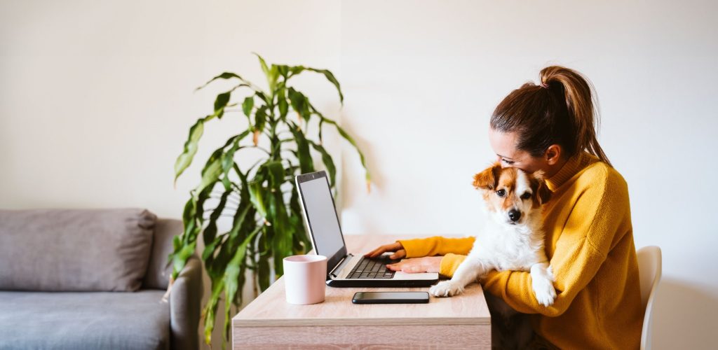 A woman sits at a desk working on a laptop while holding a small dog, demonstrating her dedication to pet care. A plant and a sofa are in the background.