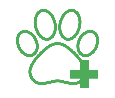 Green paw print with a medical cross symbol in the lower right corner, perfect for any grooming or dog daycare service.