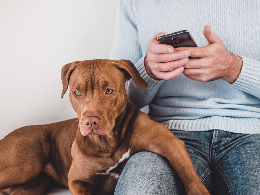 Man using smartphone with RunLoyal app beside his attentive brown dog.