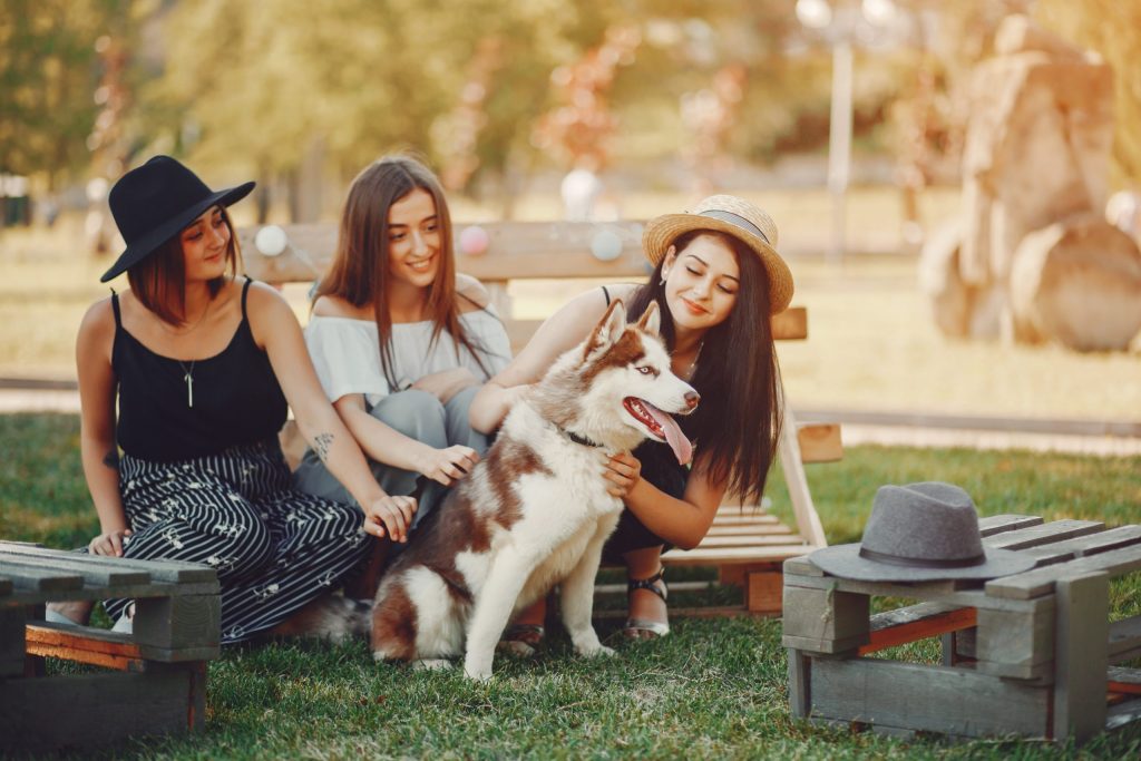 Three women sitting on benches in a park petting a brown and white dog. The women are wearing summer hats and casual clothes, likely exchanging tips about pet care.