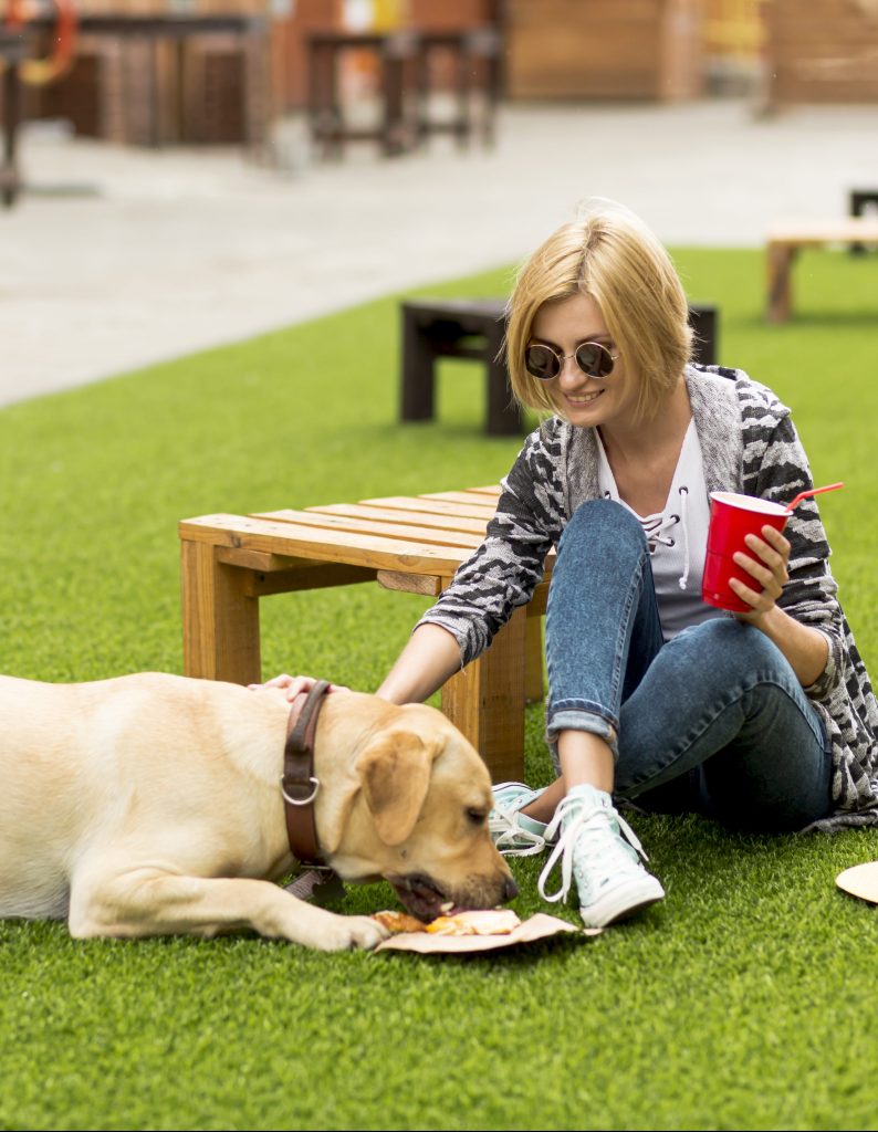 A person wearing sunglasses and casual clothes sits on grass, holding a red cup with a straw and expertly petting a yellow dog eating food from a plate, hinting at their experience in dog training.