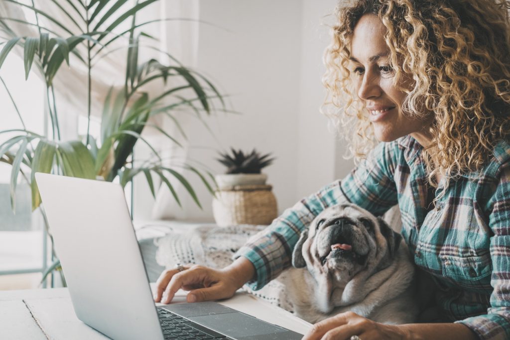 A woman with curly hair works on a laptop while her pug dog, fresh from grooming, sits contentedly on her lap indoors, surrounded by houseplants.