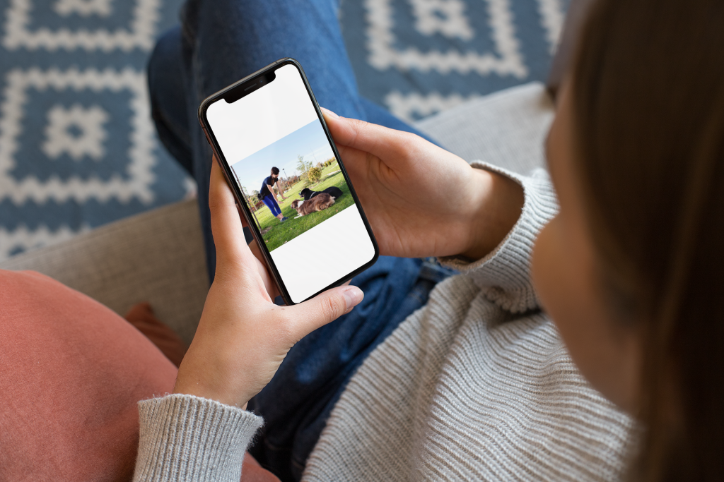 Person holding a smartphone, viewing a photo of dog training on a grassy field.