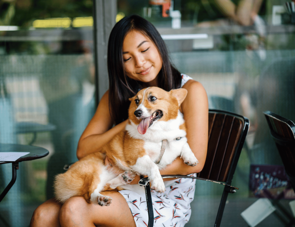 A woman sits outside a cafe, holding a happy corgi on her lap, casually discussing the benefits of all-in-one dog boarding software with friends over coffee.